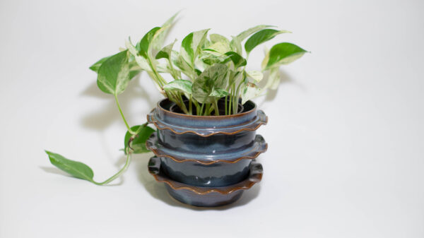 Blue Amber Ruffle Plant Pot - Image 2