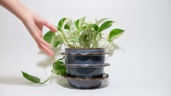 Blue Amber Ruffle Plant Pot