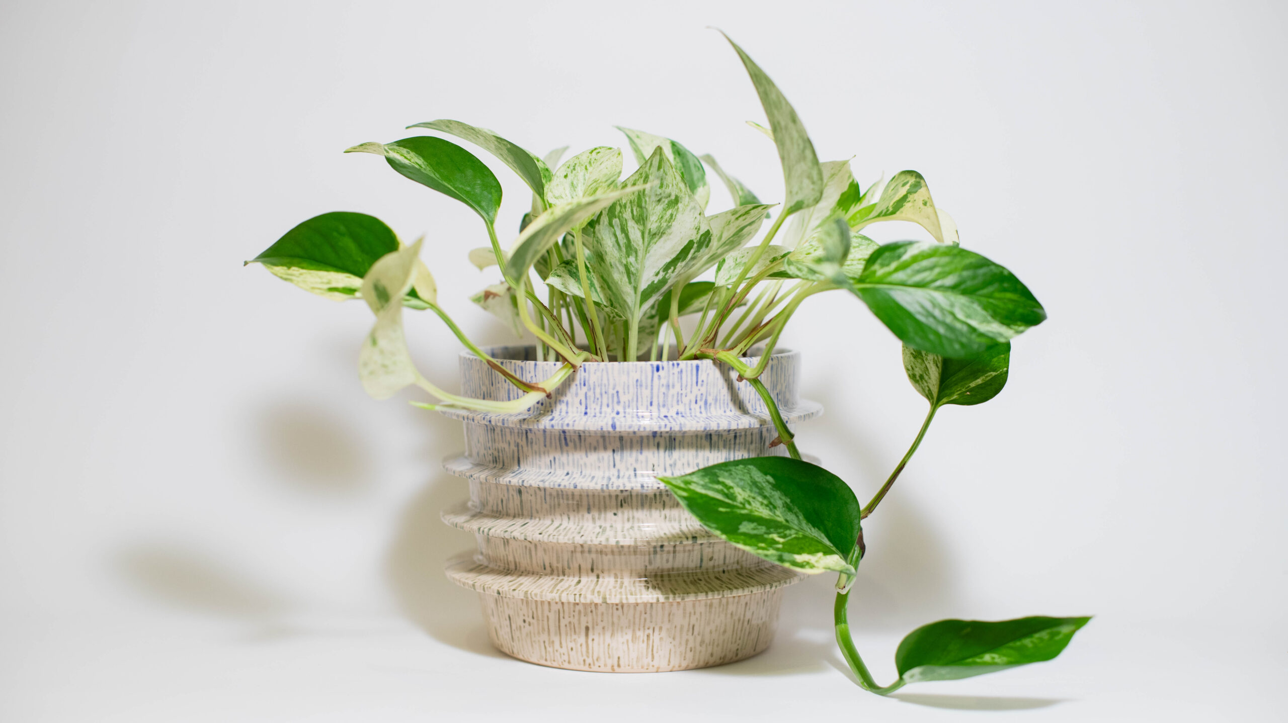 Blue-Green Gradient UFO Plant Pot (Firsts) - Image 1