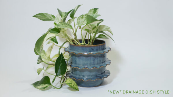 Blue Amber Ruffle Plant Pot (seconds, new drainage dish)