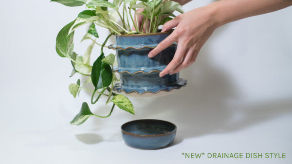 Blue Amber Ruffle Plant Pot (seconds, new drainage dish)