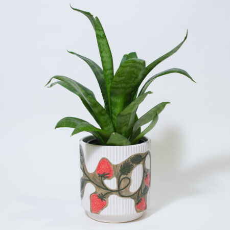 Strawberry Fluted Plant Pot