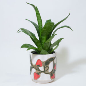 Strawberry Fluted Plant Pot