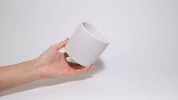 Fluted Container (No Drainage Dish)