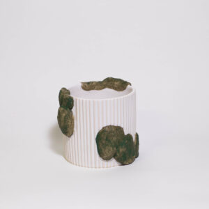 Mossy Mini Plant Pot (No Drainage Dish) - Image 1