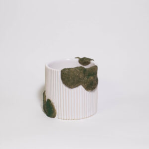 Mossy Mini Plant Pot (No Drainage Dish) - Image 2