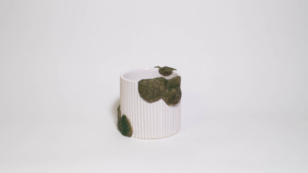 Mossy Mini Plant Pot (No Drainage Dish)