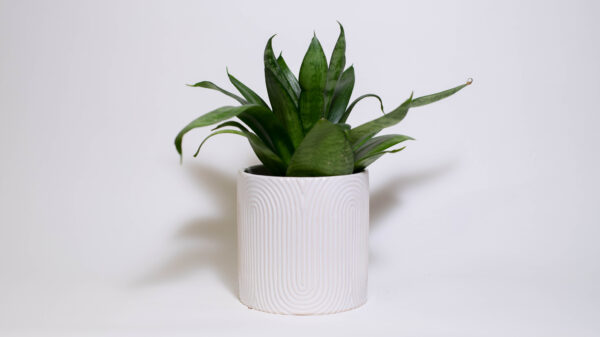 Zen Garden Small Plant Pot (Pattern Two, No Drainage Dish)