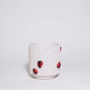 Lady Bugs Mini Plant Pot - Image 4