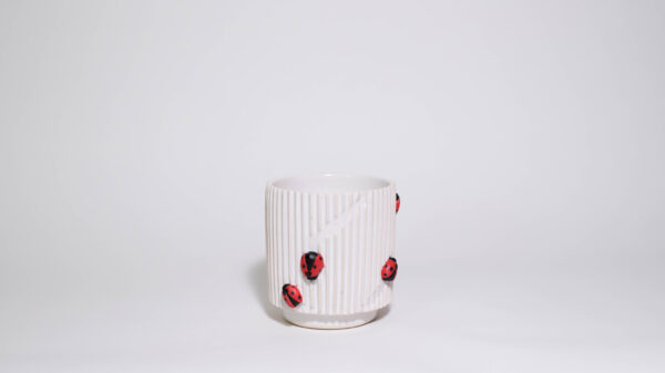 Lady Bugs Mini Plant Pot