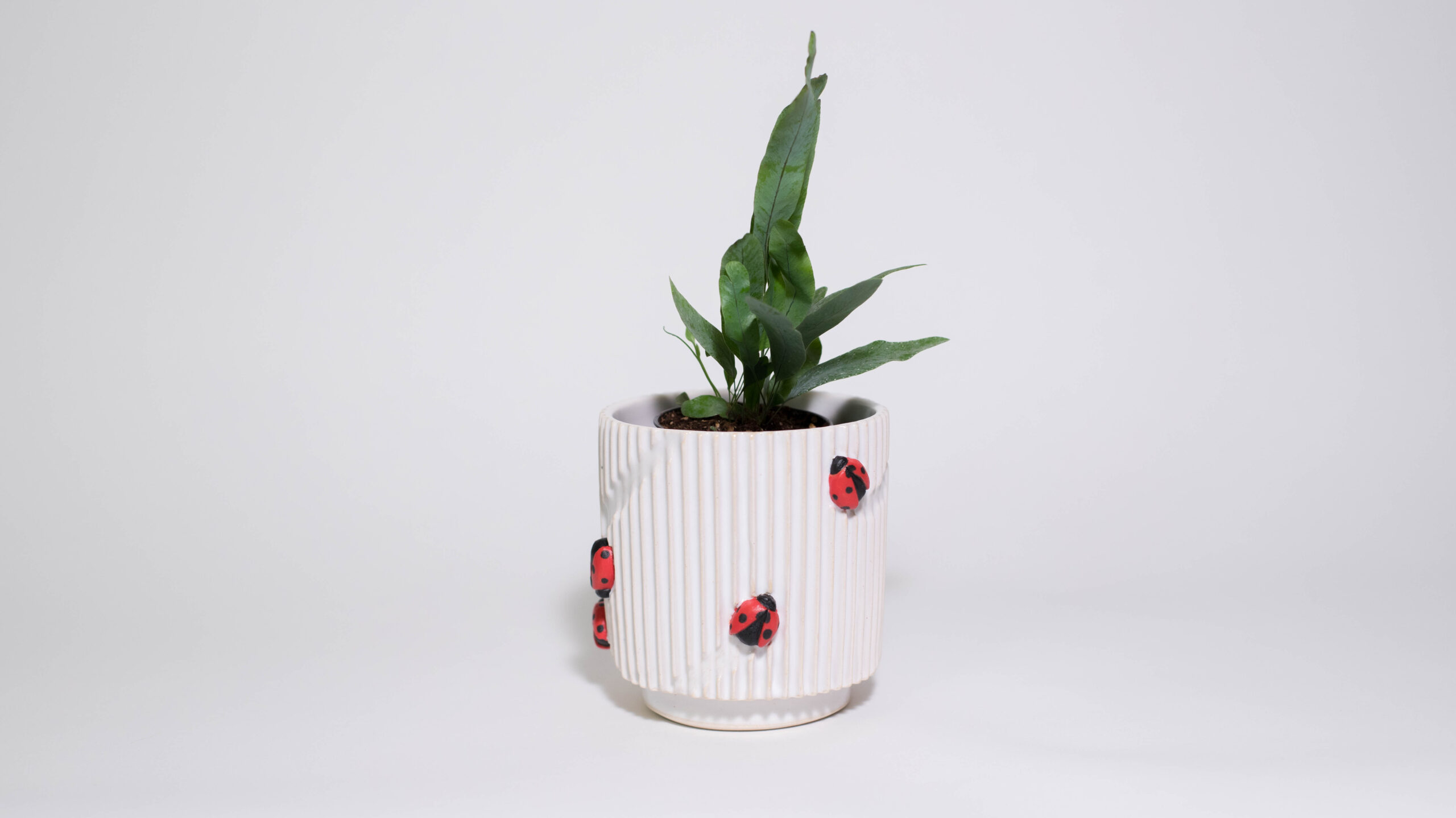 Lady Bugs Mini Plant Pot - Image 2