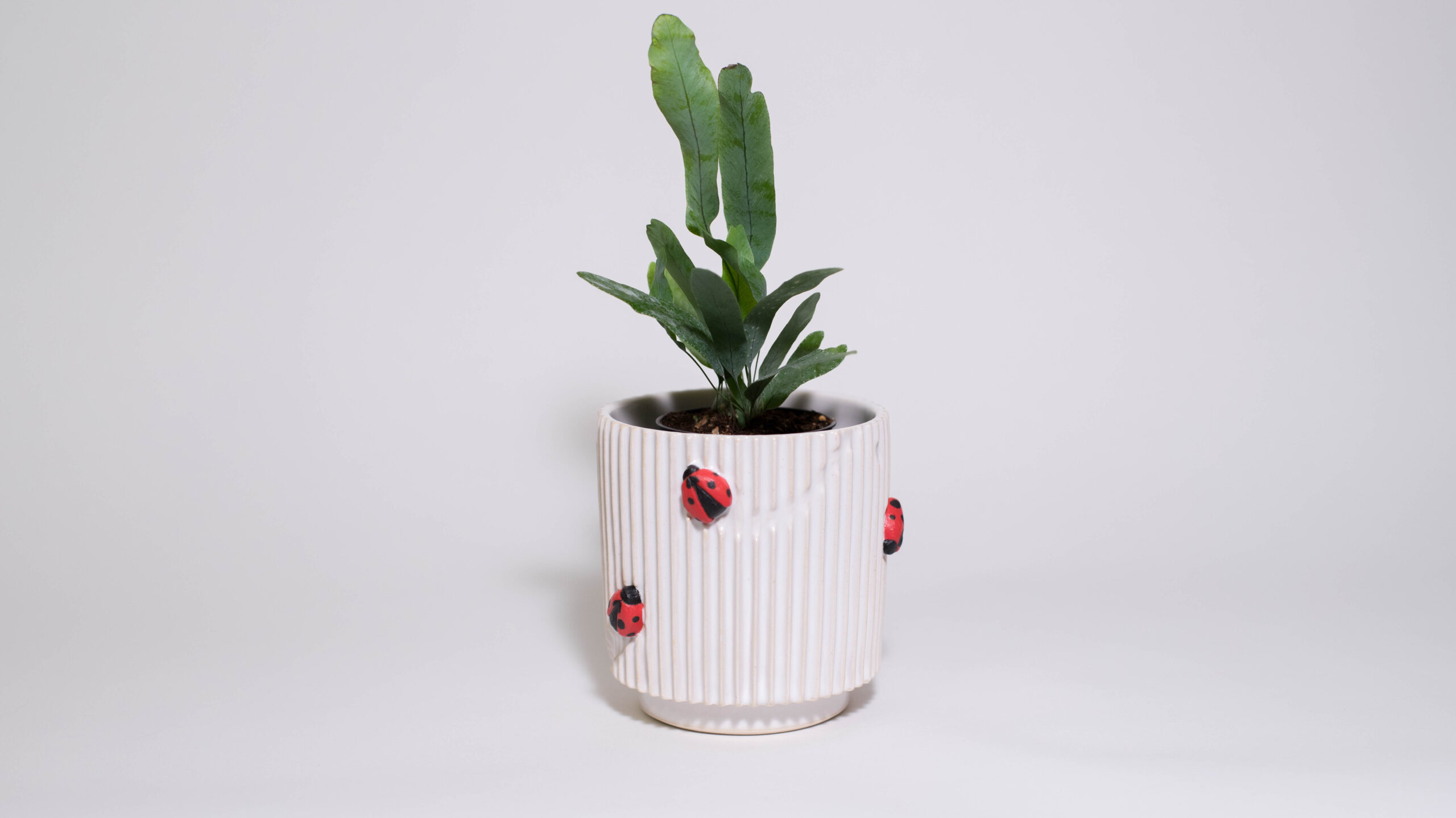 Lady Bugs Mini Plant Pot - Image 1