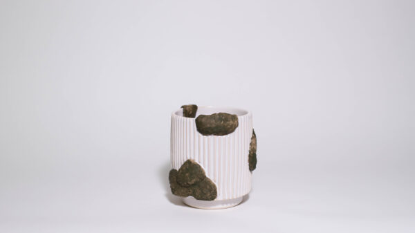 Mossy Mini Plant Pot