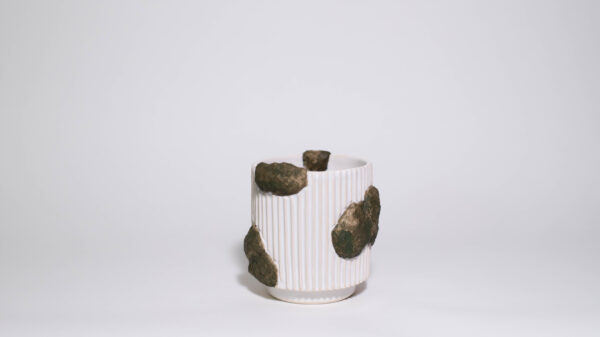Mossy Mini Plant Pot