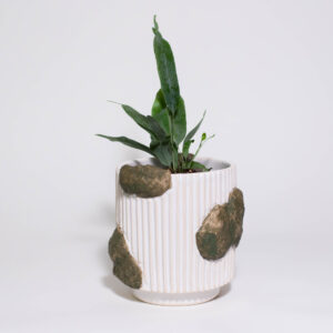 Mossy Mini Plant Pot - Image 2