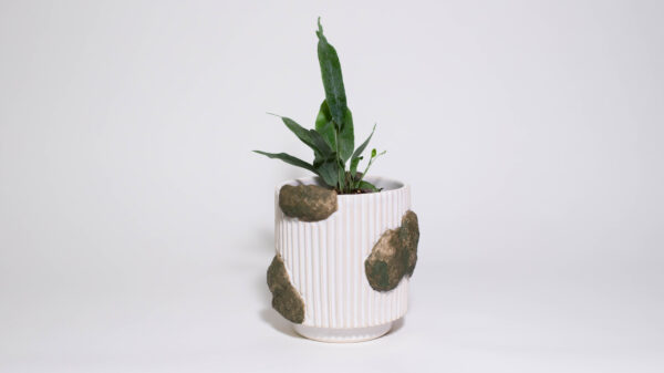 Mossy Mini Plant Pot