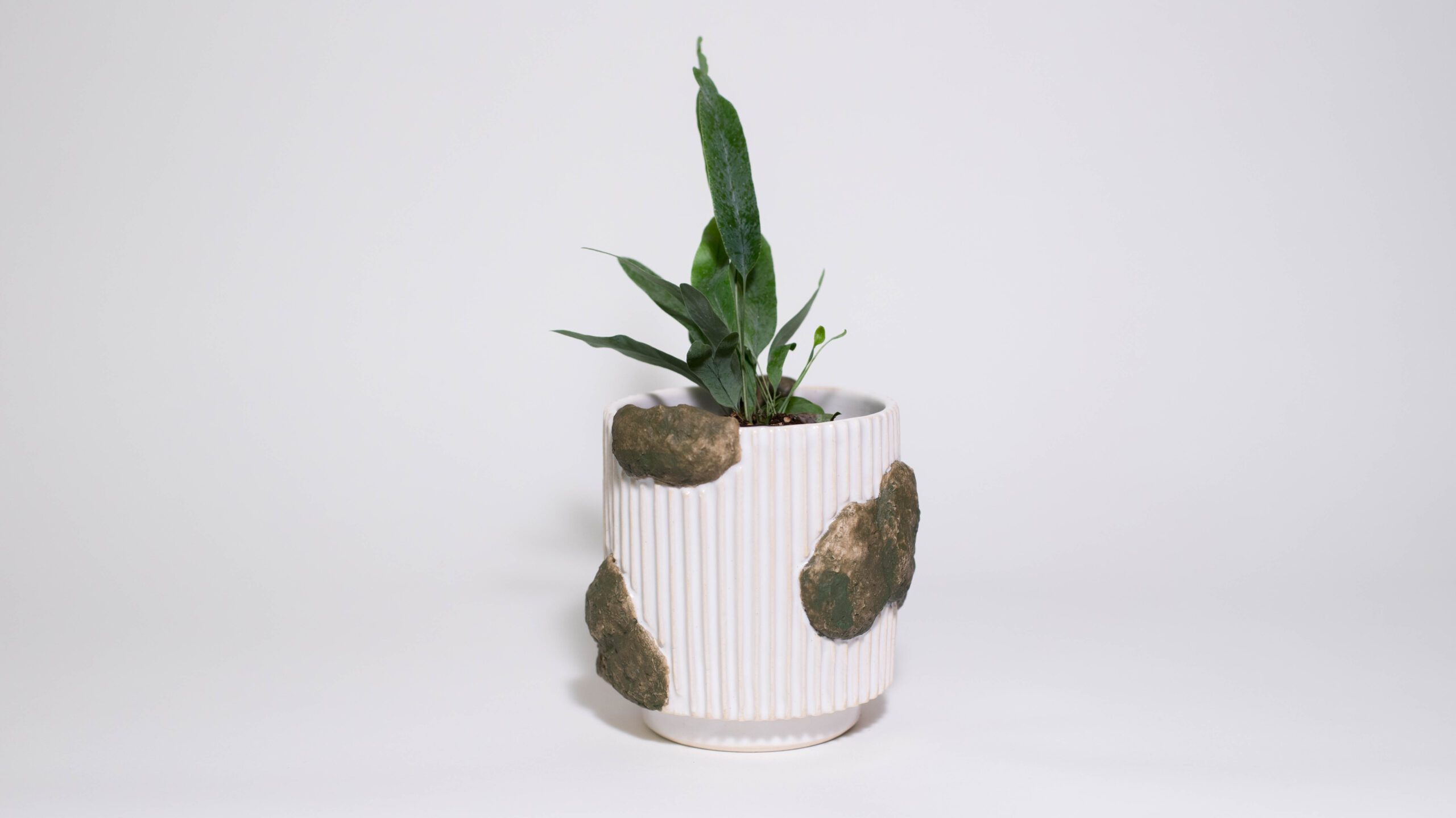 Mossy Mini Plant Pot - Image 2