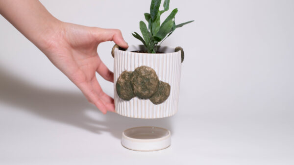 Mossy Mini Plant Pot