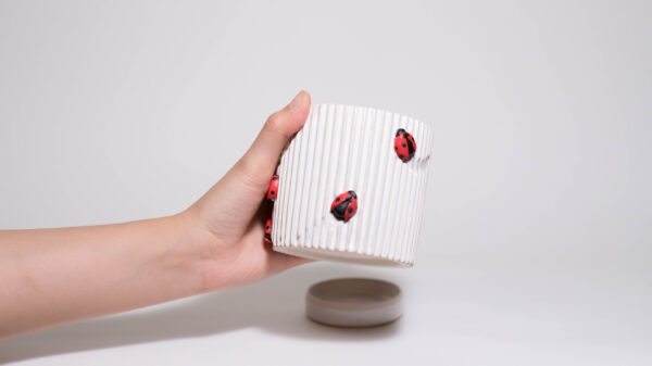 Lady Bugs Mini Plant Pot