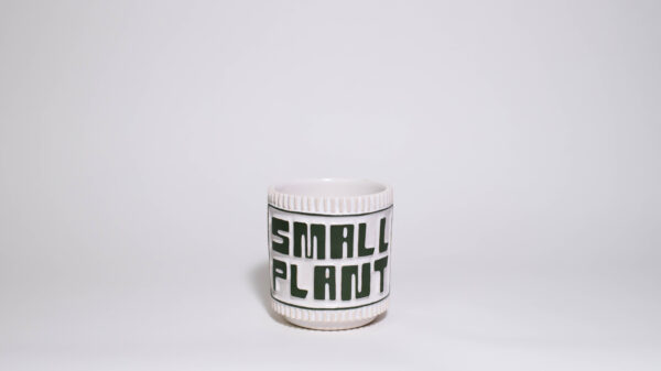 "SMALL PLANT" Mini Plant Pot