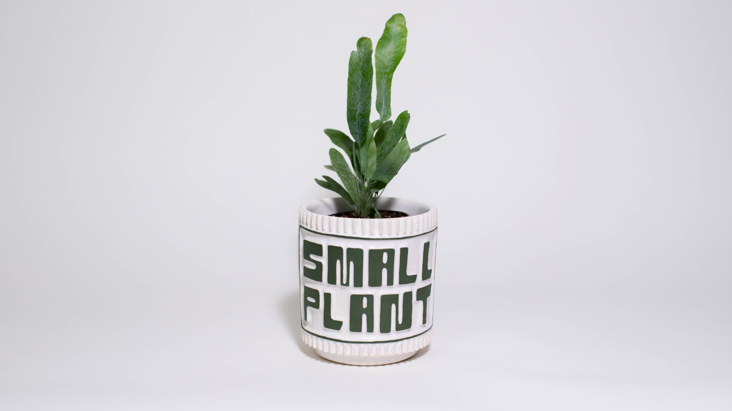 "SMALL PLANT" Mini Plant Pot - Image 1