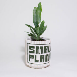 "SMALL PLANT" Mini Plant Pot - Image 3