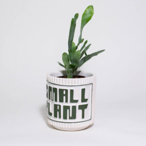 "SMALL PLANT" Mini Plant Pot - Image 2