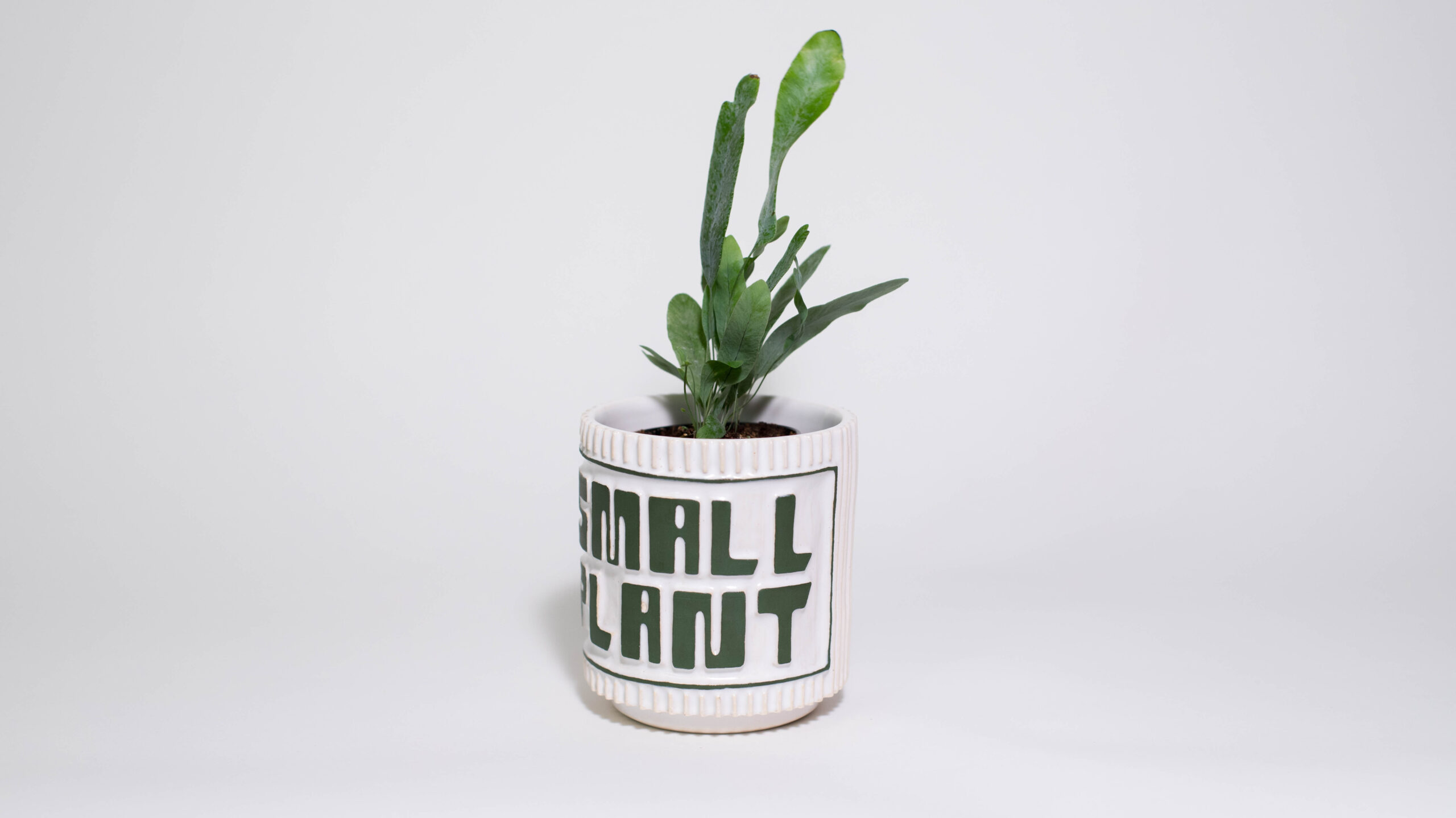 "SMALL PLANT" Mini Plant Pot - Image 2