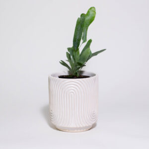 Zen Garden Mini Plant Pot (Pattern Two) - Image 1