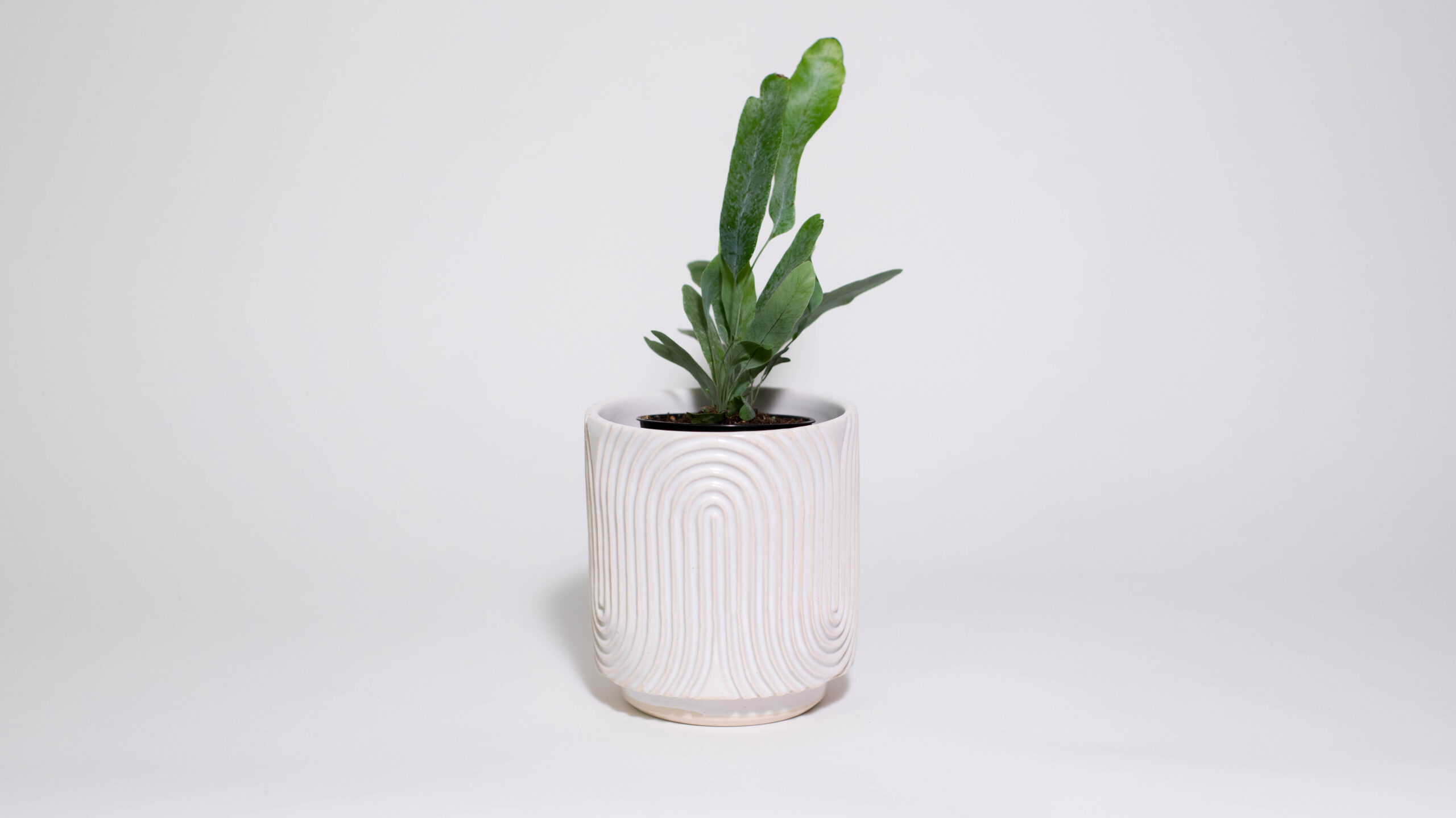 Zen Garden Mini Plant Pot (Pattern Two) - Image 1