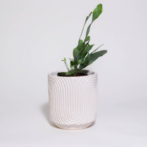 Zen Garden Mini Plant Pot (Pattern Two) - Image 2