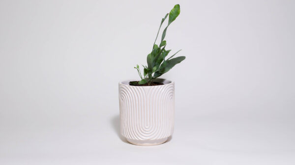 Zen Garden Mini Plant Pot (Pattern Two)