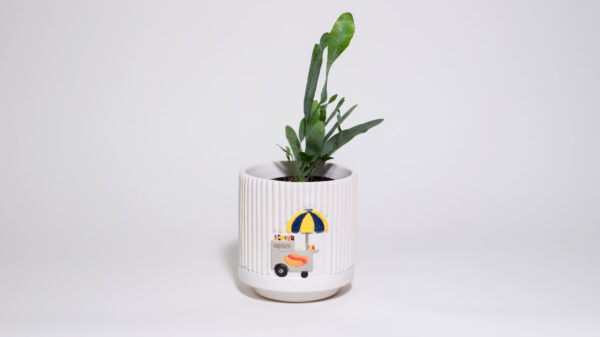 Hot Dog Cart Mini Plant Pot