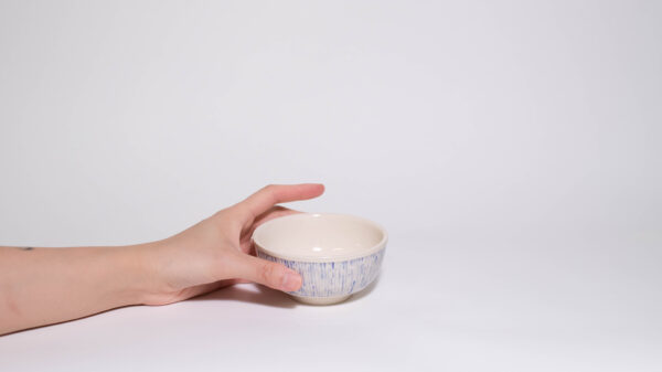 Rice Bowl with Wiggly Lines (Blue)