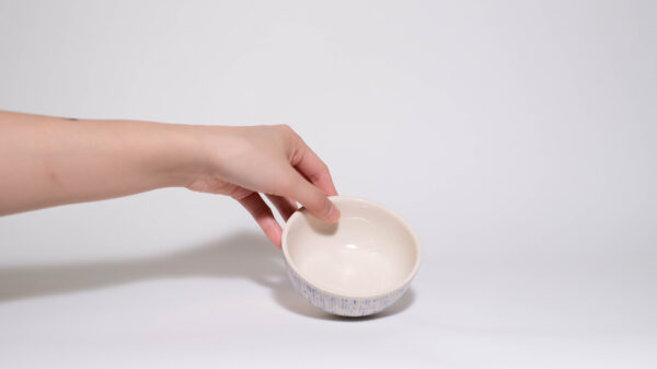 Rice Bowl with Wiggly Lines (Blue)