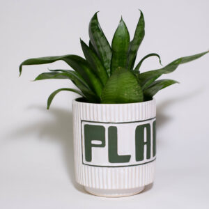 "PLANT" Small Plant Pot - Image 1