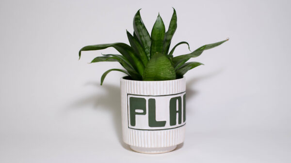 "PLANT" Small Plant Pot