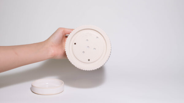 "PLANT" Small Plant Pot