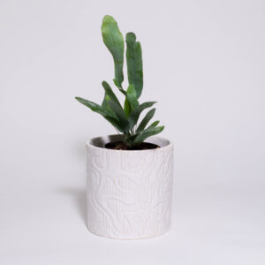 Organic Shapes Mini Plant Pot (No Drainage Dish)