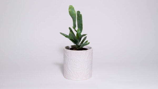 Organic Shapes Mini Plant Pot (No Drainage Dish)