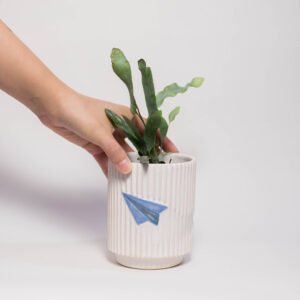 Paper Airplane Mini Plant Pot