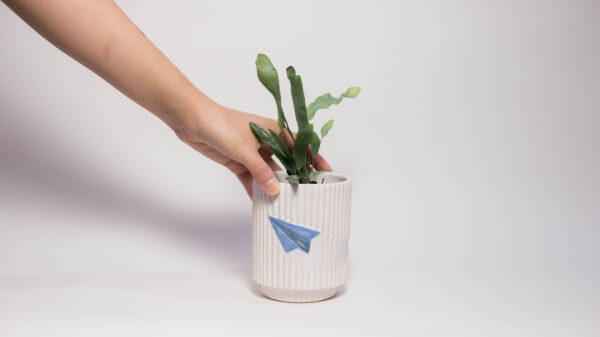Paper Airplane Mini Plant Pot