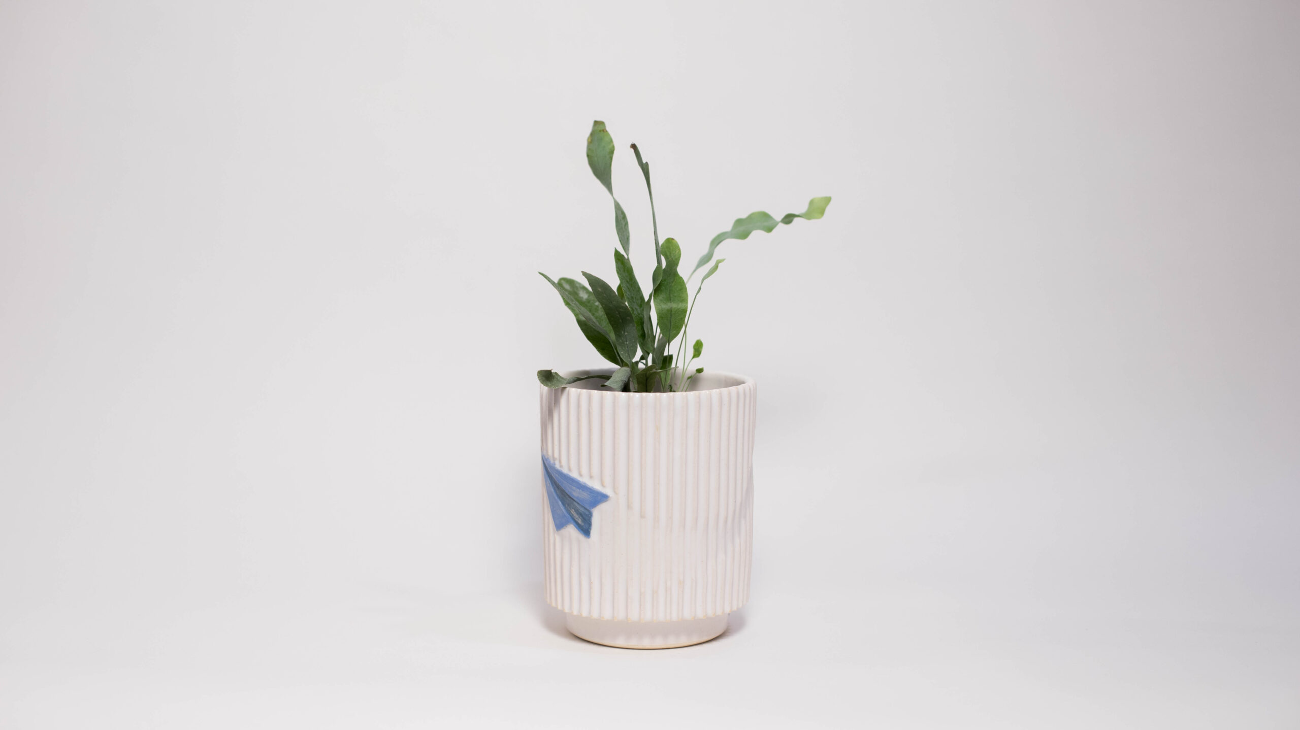 Paper Airplane Mini Plant Pot - Image 2