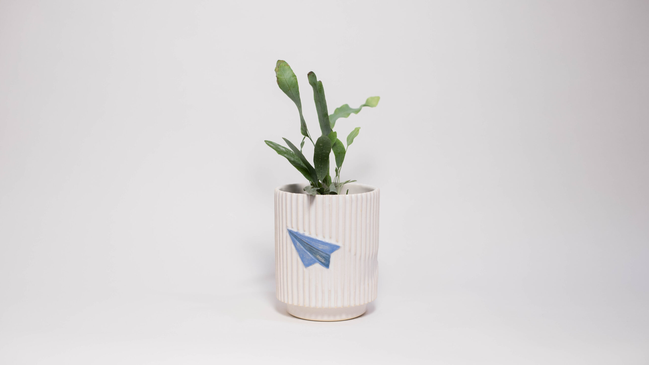 Paper Airplane Mini Plant Pot - Image 3